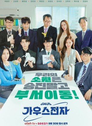 Компания Гаус Электроникс