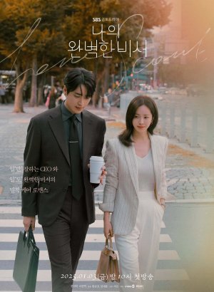 Идеальный секретарь